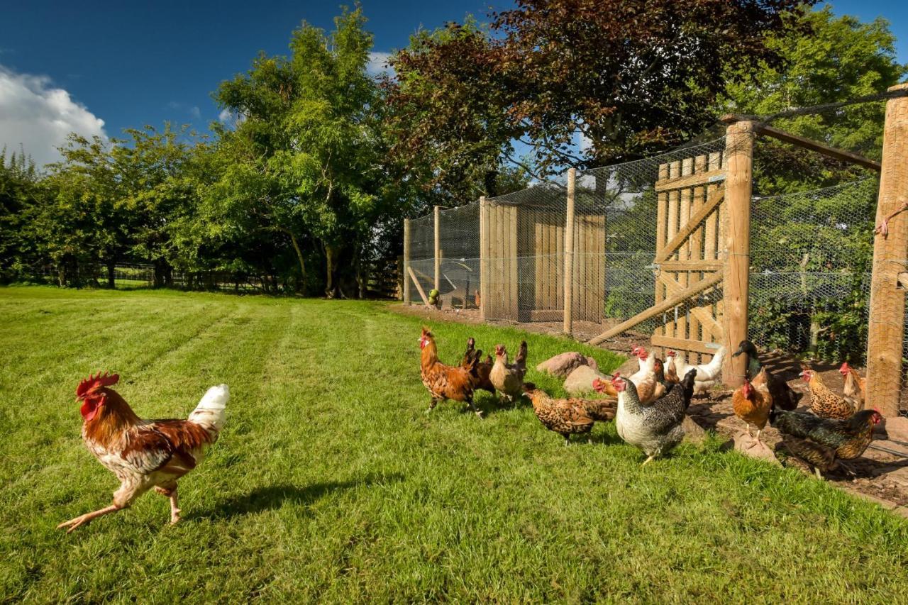 The Steading At Pitmeadow Farm Villa Dunning Luaran gambar
